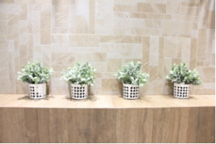 20161114 ICC�ɴu������׃���fǧ���پWÿ�ܳ�Ҏ���£�533_���D��.jpg